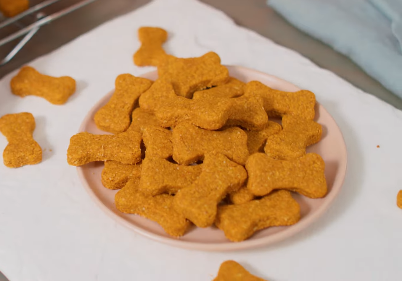 homemade-dog-treat-recipe